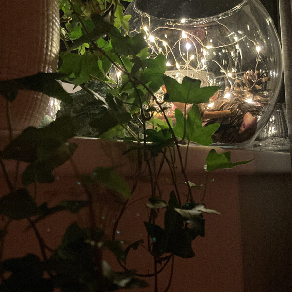 Sajūtu telpa, Jelgava