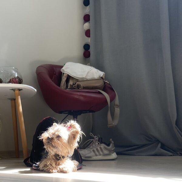 Sajūtu telpa - pet friendly